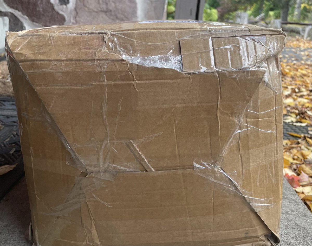 TheMatriarch tweet media