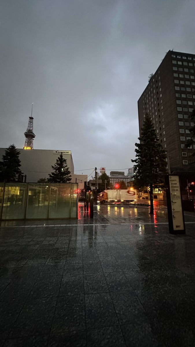 きのこ猫💙💛 (@Kinoko_cat) / Posts / X