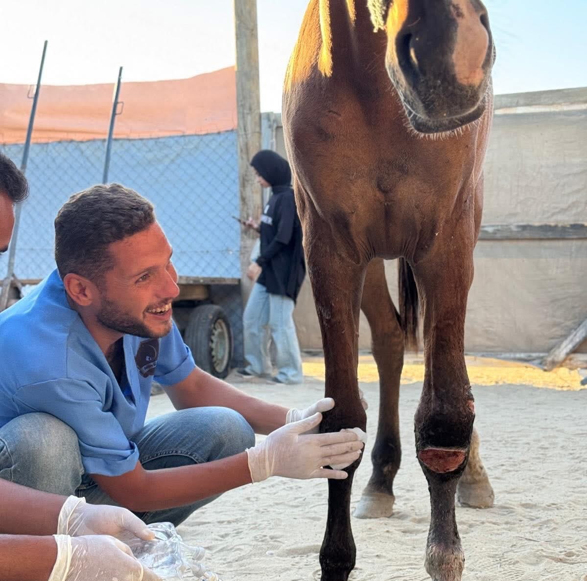 Gazzeli veteriner Moaz, iki yıl boyunca İsrail'in bilinçli şekilde hedef aldığı hayvanları tedavi ederek acılarını dindirmeye çalıştı.

Soykırımcı İsrail, Moaz'ıda katletti.