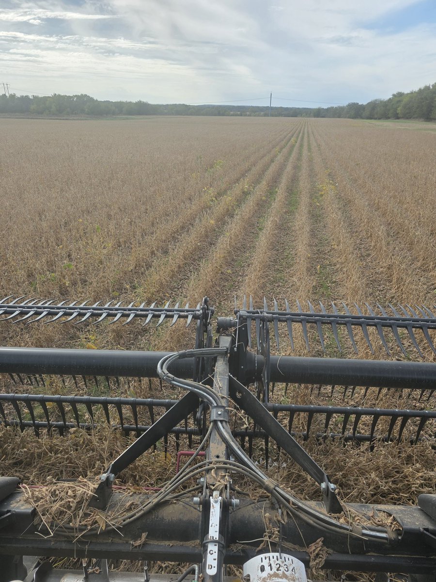 DanielEEdmonds's tweet image. Soybean harvest is a go!