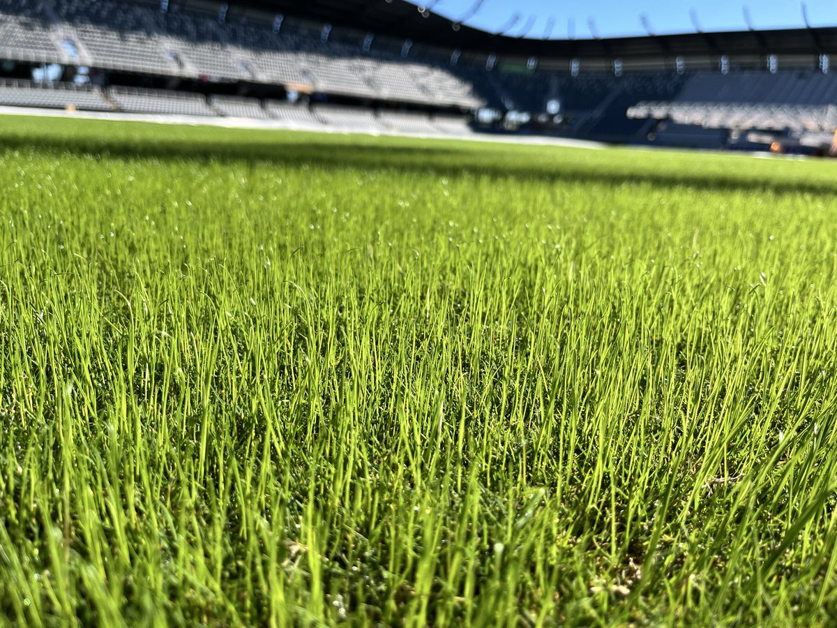 AaronFink4's tweet photo. Ryegrass has been added and we’re ready for the championship stretch! One week under blankets and lights. Green blanket (4th pic, on right) was a bit more successful than the white blankets despite being in the shadiest part of the field. 4lbs per 1000 https://t.co/eoUe8eFRq3