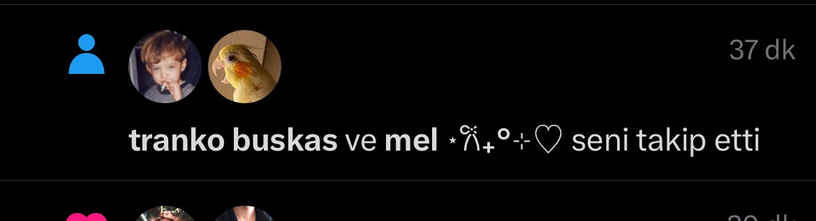 Tweet media one
