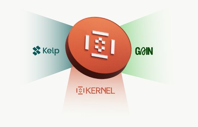The future of DeFi with 
@Kernel_dao

Innovative restaking solutions Kernel for BNB, Kelp for liquid ETH, &amp; Gain’s automated vaults are reshaping shared security &amp; boosting yields across multiple chains. #KernelDAO tokenomics add strong governance. #Restaking #DeFi