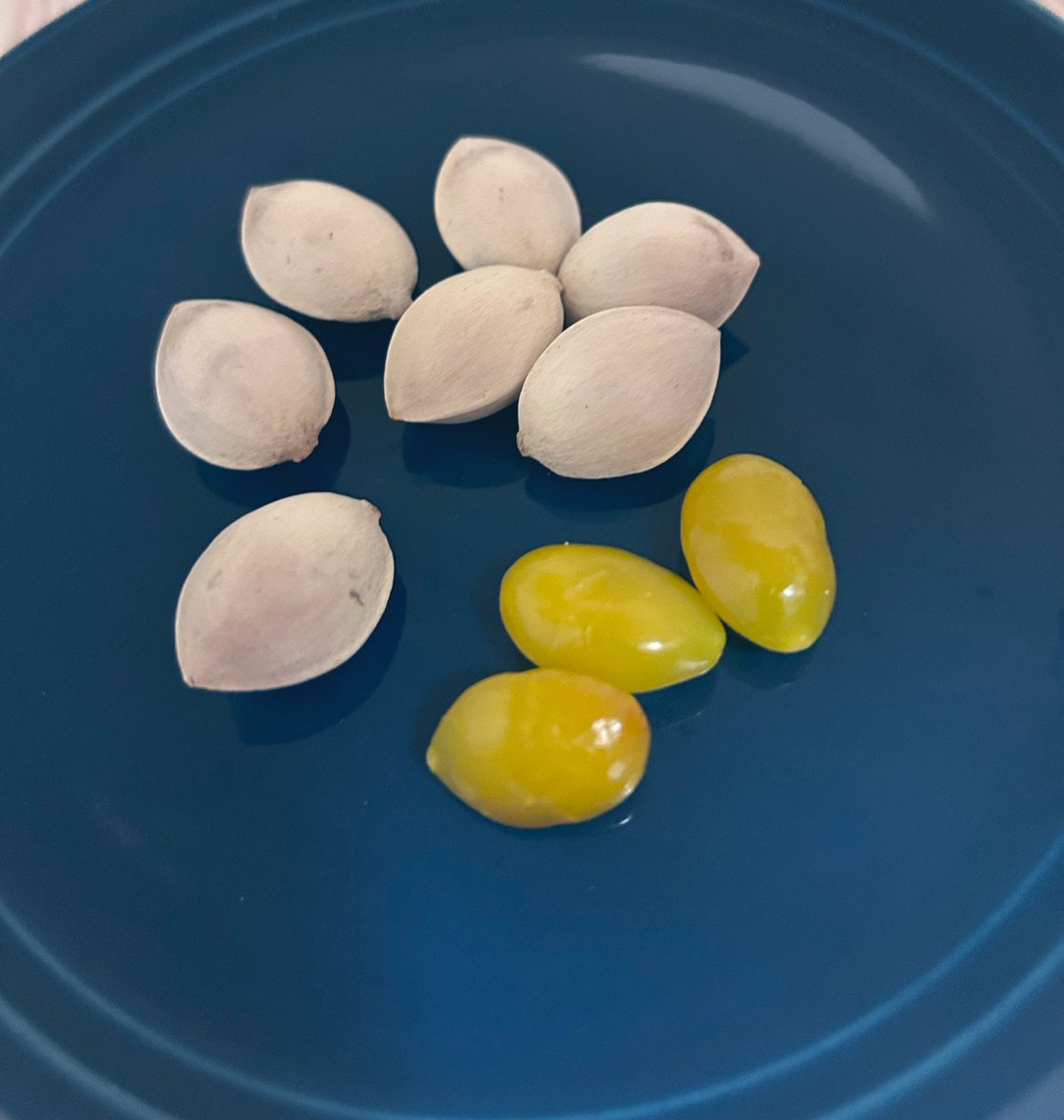 ニコレシピ　モノ　6点　6️⃣ ニコレシピ モノ 6点 6️⃣