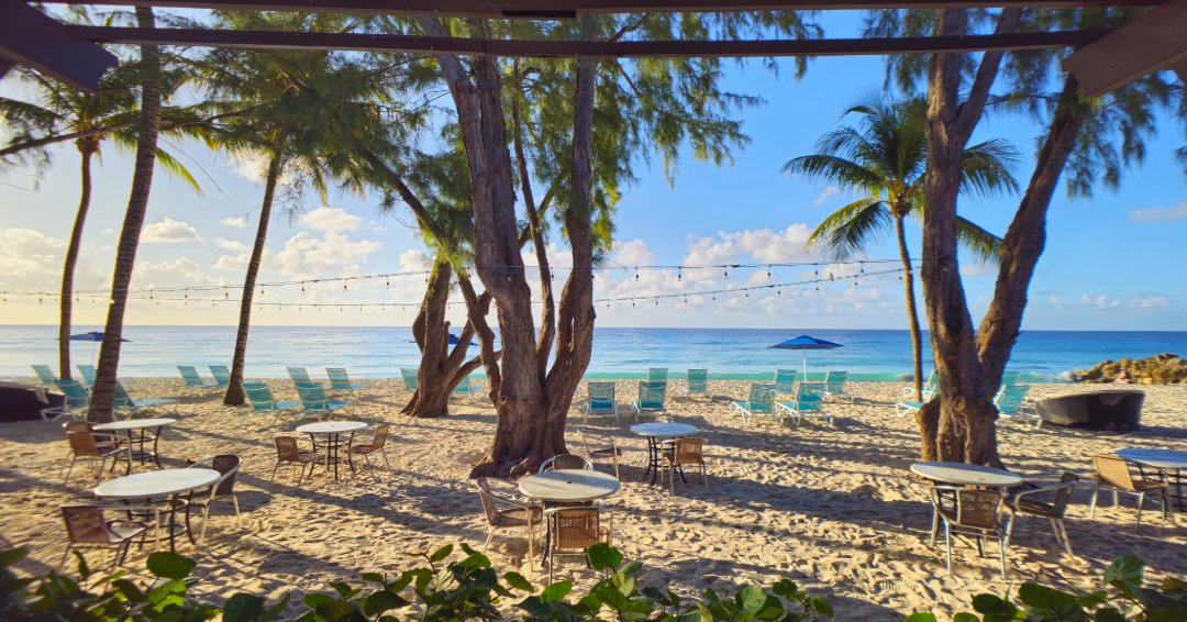 Welcome to pureocean Restaurant in Barbados! 🌴 Would you choose an indoor table or would you rather dine outdoors with your toes in the sand? 🍴

.
.
.
.

#pureocean #Barbados #DiviSouthwindsBeachResort #BarbadosRestaurants #RestaurantsOnTheBeach