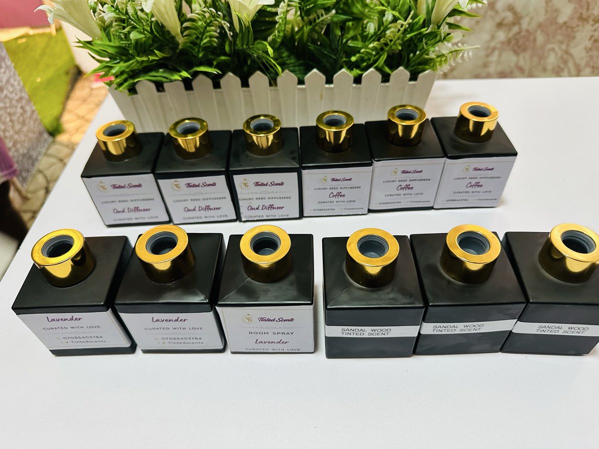 tintedscents's tweet image. These diffusers were sent out today and they will be decorating hotel rooms while emitting sweet aromata.

All sold on discount and it ends tomorrow 

11k each 

#reeddiffuser #hotelfragrance #tintedscents