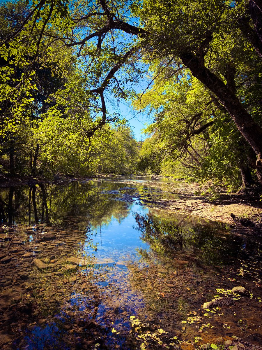 creek
steady down the brae 
giggling 

#Storyin6 #Steady #poetry #Writing #poetrycommunity #micropoetry