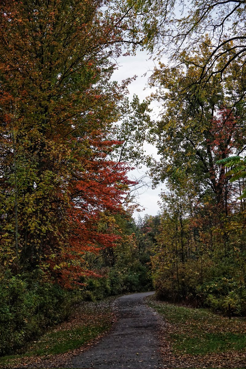 WheelerPhoto's tweet photo. https://t.co/yzZgEoIJQP