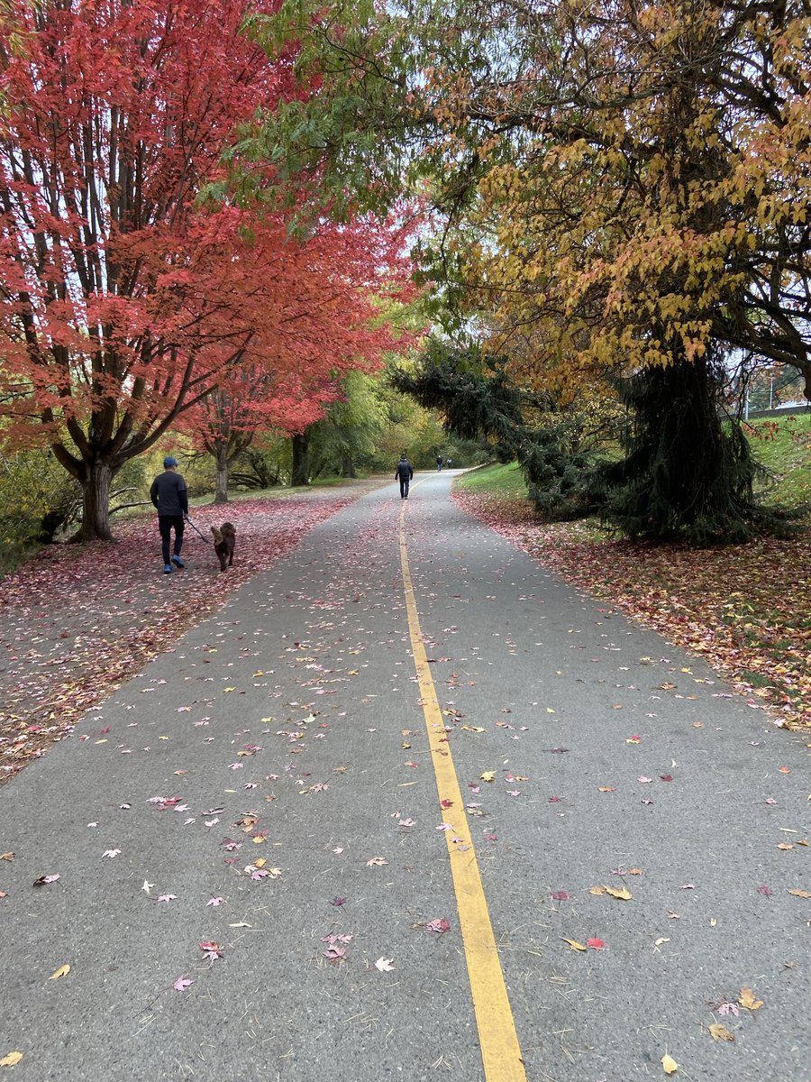 Green Lake is just…..awesome. 🍁