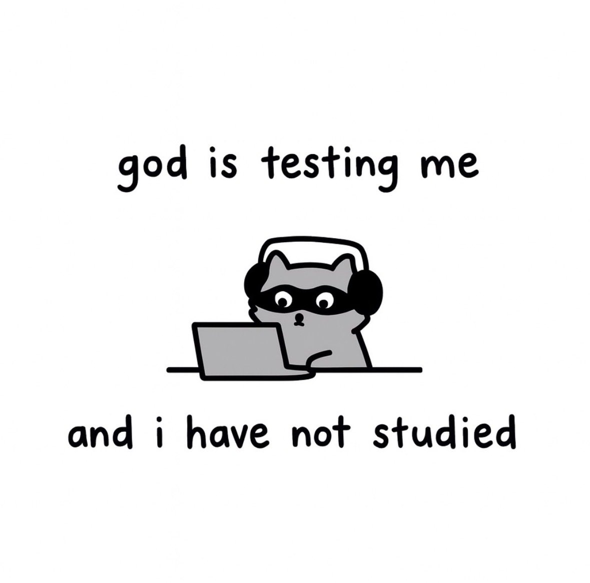 raccoonesthetic's tweet image. 