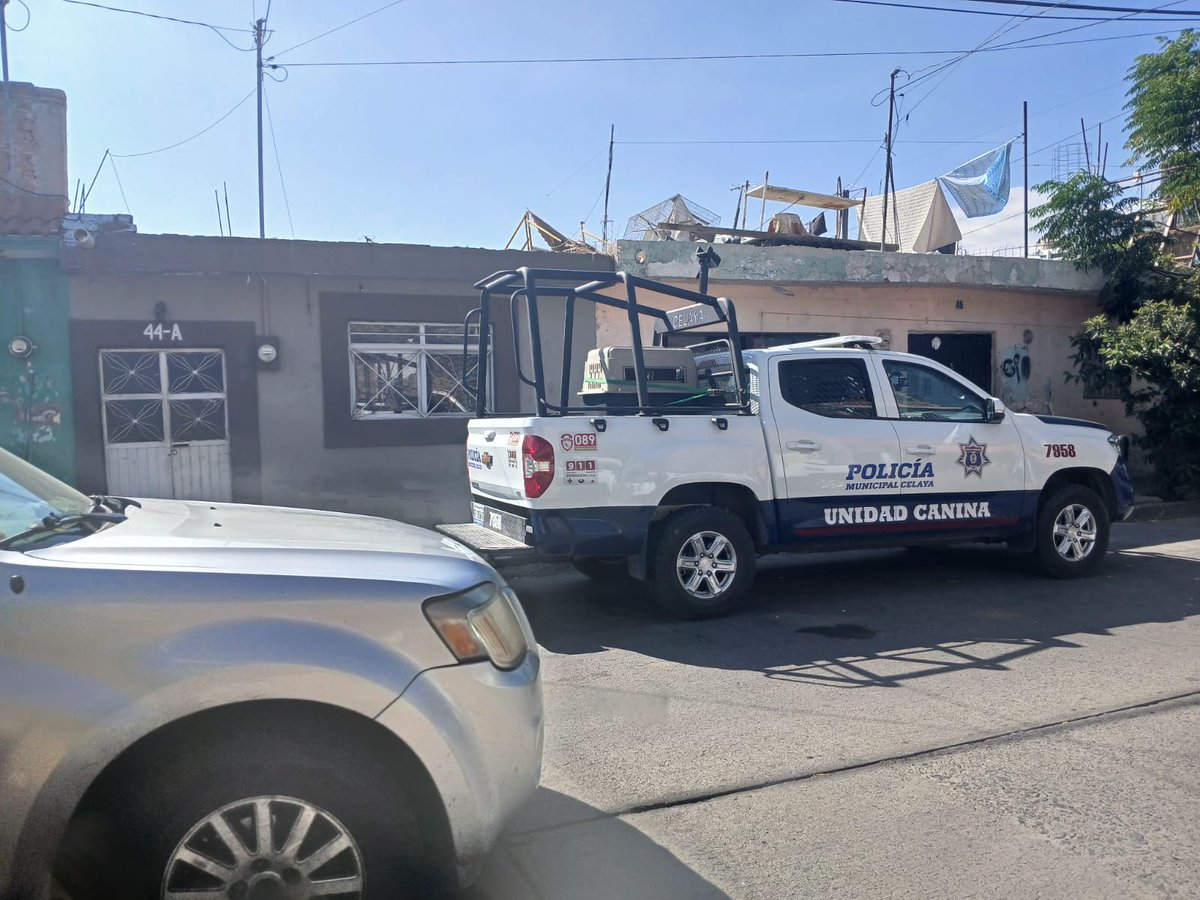 ¡Buena noticia!
Gracias a denuncias ciudadanas en redes y WhatsApp, la Policía Canina rescató a cuatro lomitos en situación de riesgo. 
Fueron puestos a salvo y trasladados al Centro de Control Animal para recibir atención. 

Toda vida merece respeto y cuidado.
