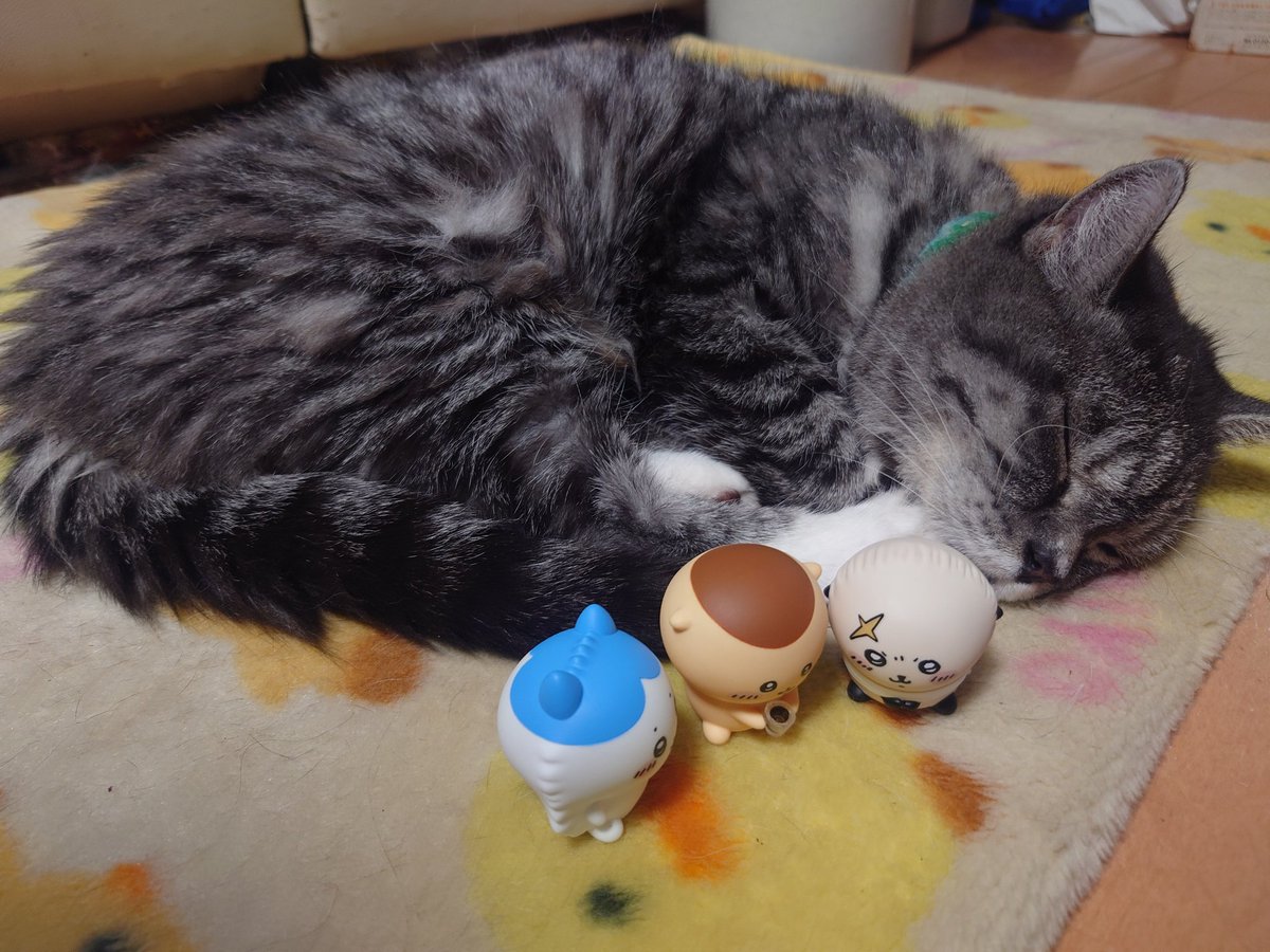 128QAM (@raphael_root_su) on Twitter photo おはようカムイ君だニャン🐱
今日は、
国連デー
世界開発情報の日
暗黒の木曜日
ツーバイフォー住宅の日
文鳥の日
吾郷会の日
マーガリンの日
天女の日
ルミナス医療脱毛の日
軽貨物の日
エムセラ・尿失禁改善の日
削り節の日
ブルボン・プチの日
だニャン🐱
昔、文鳥を飼うのが流行ったそうだニャン🐱 おはようカムイ君だニャン🐱
今日は、
国連デー
世界開発情報の日
暗黒の木曜日
ツーバイフォー住宅の日
文鳥の日
吾郷会の日
マーガリンの日
天女の日
ルミナス医療脱毛の日
軽貨物の日
エムセラ・尿失禁改善の日
削り節の日
ブルボン・プチの日
だニャン🐱
昔、文鳥を飼うのが流行ったそうだニャン🐱