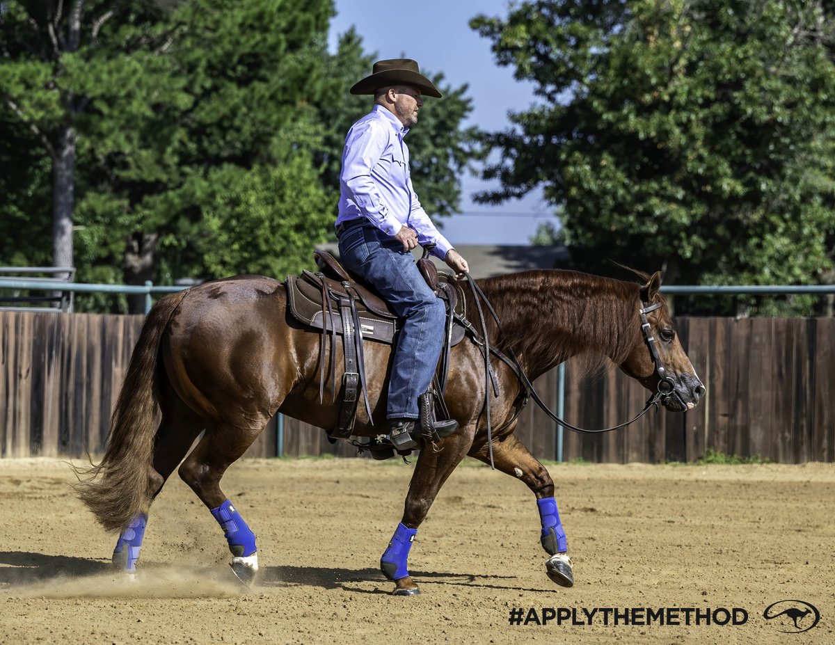 DownunderHorse's tweet image. Clinton answers: As soon as I run a pattern on my horse it’s like a light switches and he becomes a completely different horse. He’s hot and impulsive and hard to control. 
downunderhorsemanship.com/training-tip-h…
#ApplyTheMethod