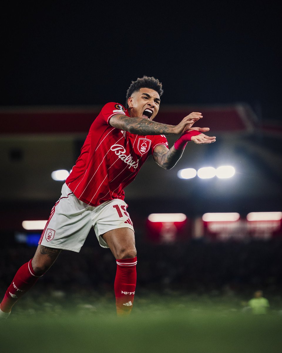 nffcpictures's tweet image. 