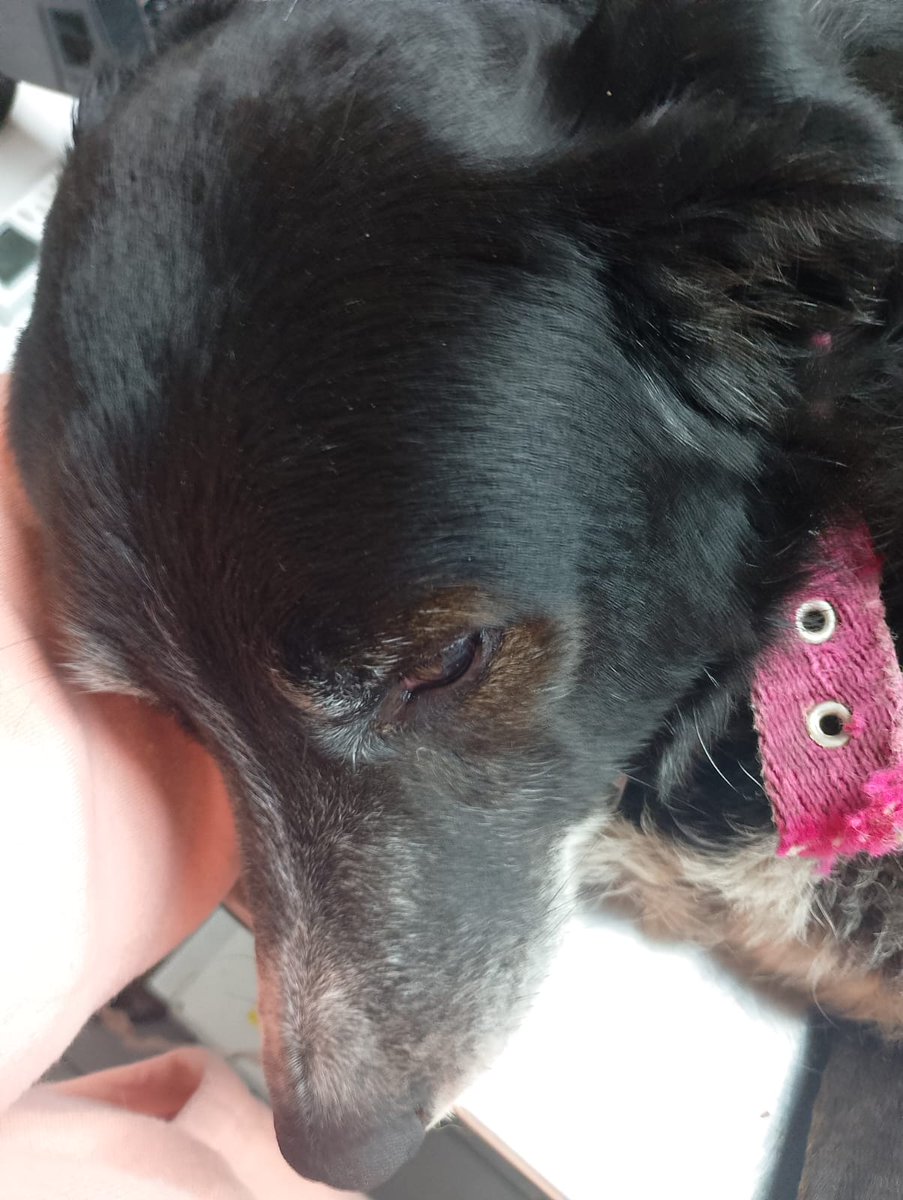 misuperamigofiel 🇦🇷 tweet media