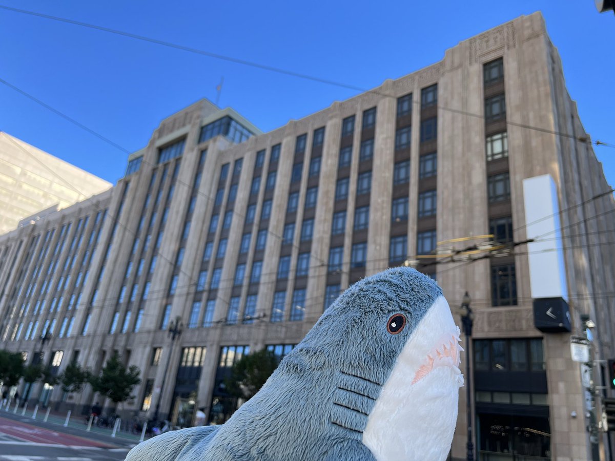 なんと ╲『X (旧Twitter)』本社╱
に来ちゃったのでパッチ🦈✨️

サメ王国の視察の一環サメな〜🦈👑

#IKEA #IKEAのサメ #IKEAshark #blahaj #ブローハイ