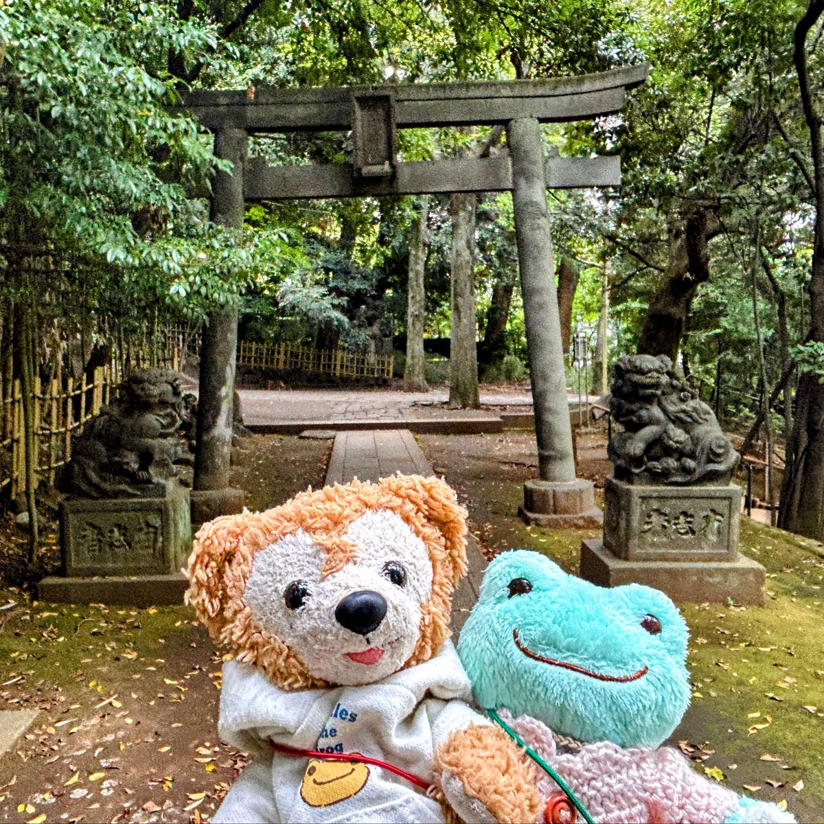 ミリム様★5点お纏め★金運を超上昇‼️✡️金蛇石✡️ ミリム様☆5点お纏め☆金運を超上昇‼️✡️金蛇石✡️ ミリム様