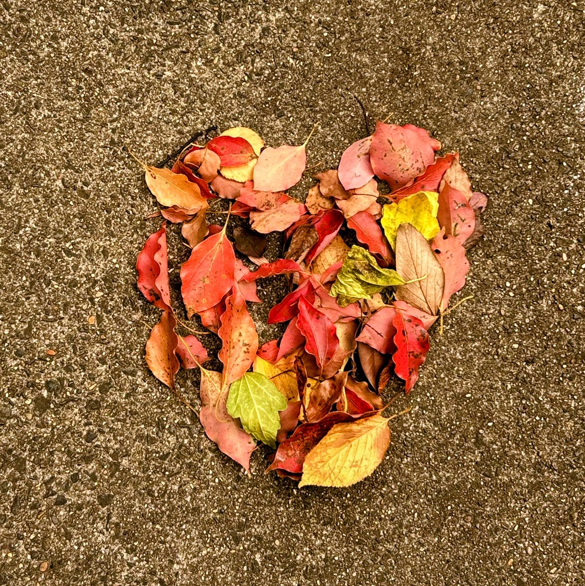 ミリム様★5点お纏め★金運を超上昇‼️✡️金蛇石✡️ ミリム様☆5点お纏め☆金運を超上昇‼️✡️金蛇