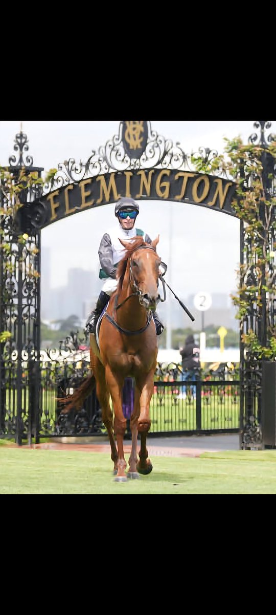SimmsTroy78's tweet image. Might aswell pack the sleeping bag and stay on course overnight 😀
Rippa in the last at Moonee Valley tonight and Risey in the G2 Crystal mile tomorrow on the last cox plate day before the track gets redeveloped. Both with good chances. 🐎💨💨💨 #thevalley #coxplate