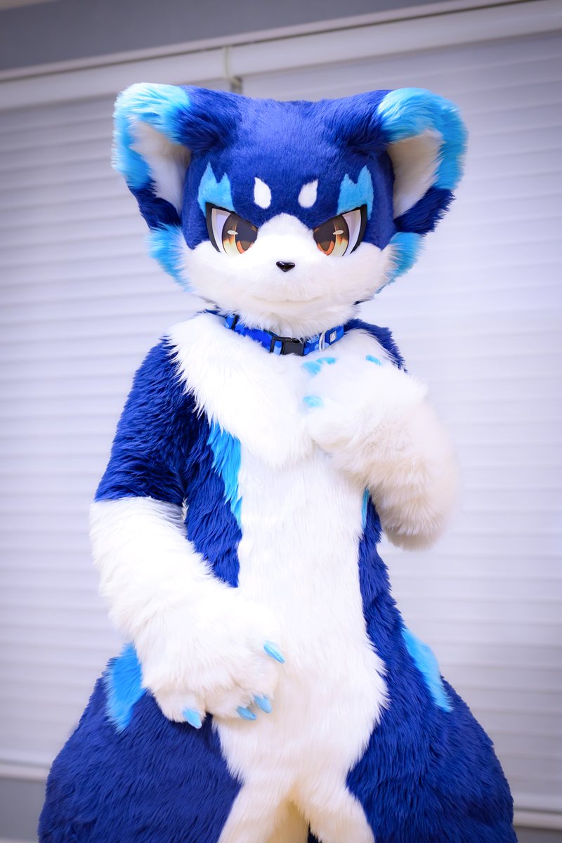 #FursuitFriday
こんにちは！僕の名前はシアン！
今日からよろしくね！！！