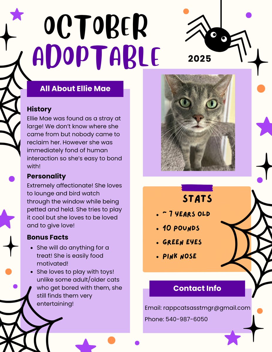 Do you know someone who would love a girl like Ellie Mae?
She's just about #purfect
Please help her find a furrever family! 💜
#AdoptDontShop #tabby #CatsOfTwitter