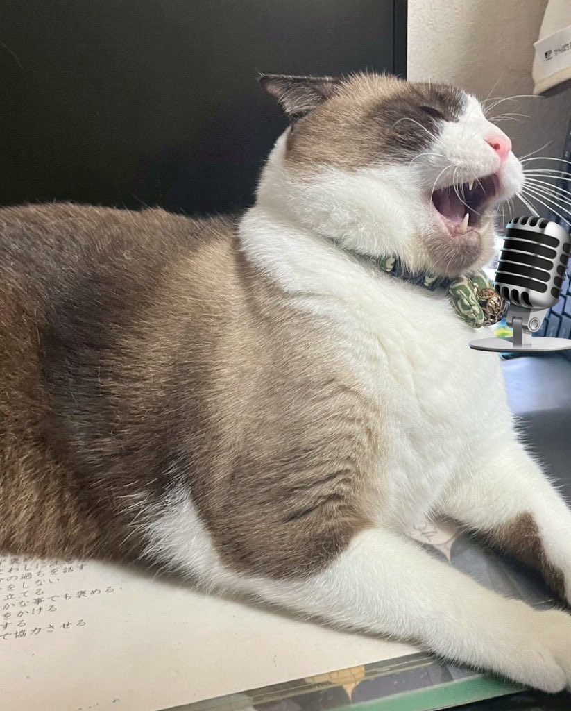 ふっくん on X ふっくん on X