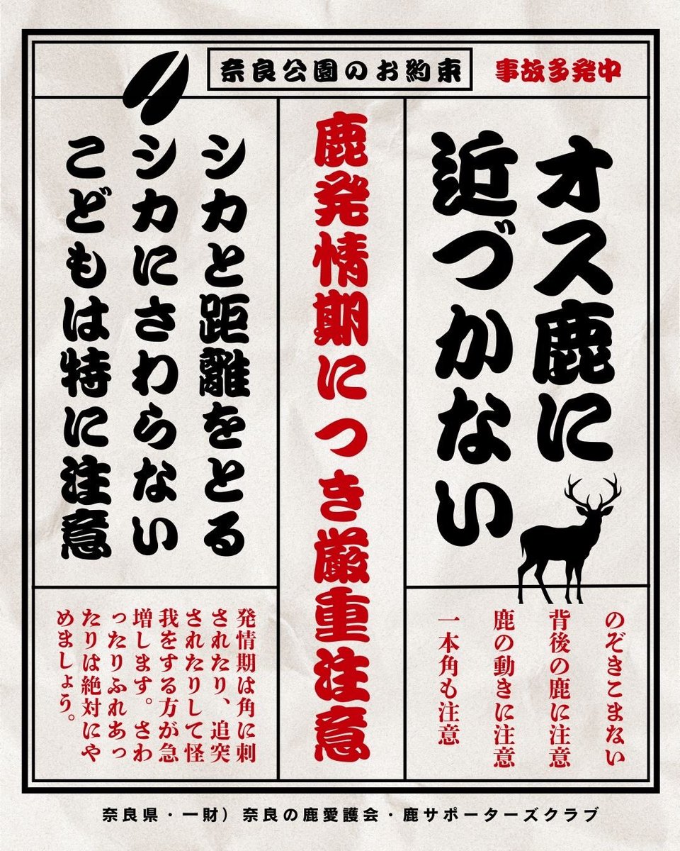 あぶない💥オス鹿に注意🦌／ 発情期のオス鹿は気が荒く、とても危険