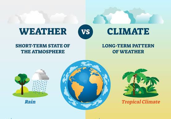 Pseudo Science tweet media