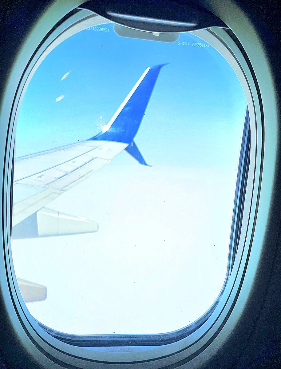 Sarah Wasik tweet media