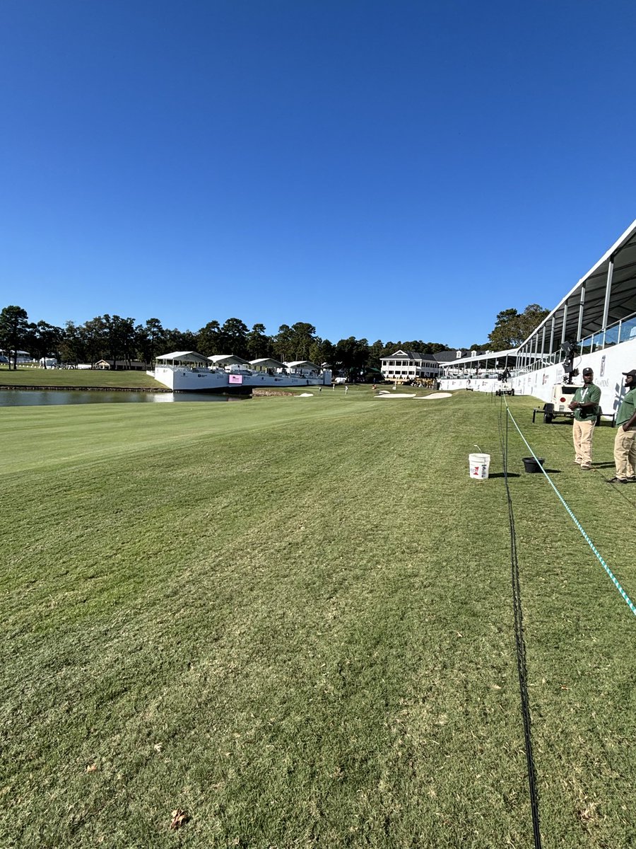 Phillip Carter tweet media