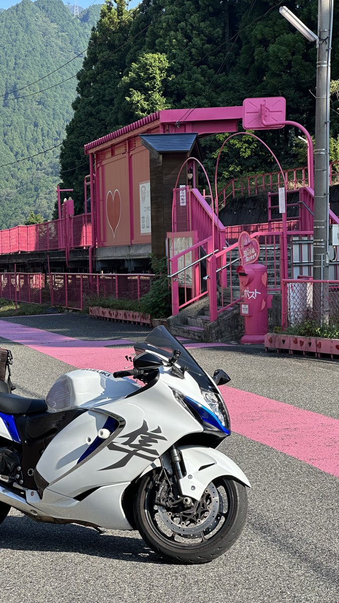 226　とらちゃん とらちゃん on X