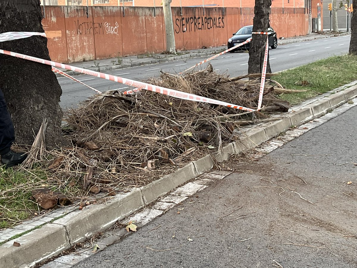 AdrianencaPC's tweet image. 🌬️ Tarde-noche activados por alerta #Vencat. Una dotación de voluntarios realizó 4 intervenciones relacionadas con el viento. Seguimos atentos. #ProteccioCivil #SantAdrià @AjSantAdria