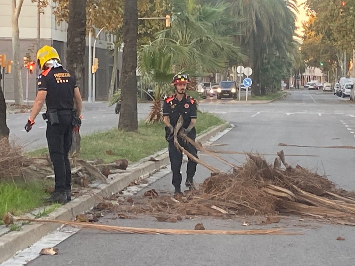 AdrianencaPC's tweet image. 🌬️ Tarde-noche activados por alerta #Vencat. Una dotación de voluntarios realizó 4 intervenciones relacionadas con el viento. Seguimos atentos. #ProteccioCivil #SantAdrià @AjSantAdria