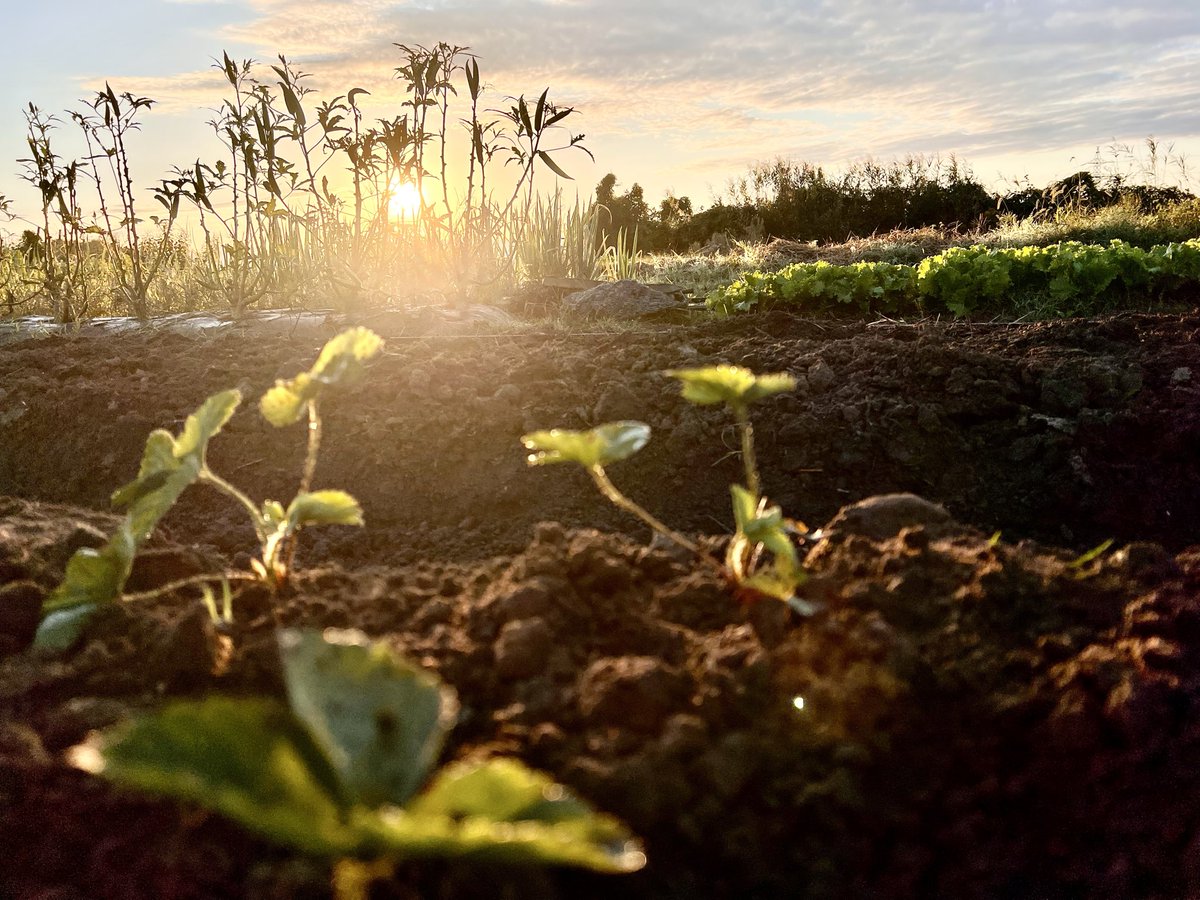 いーじまさん on X