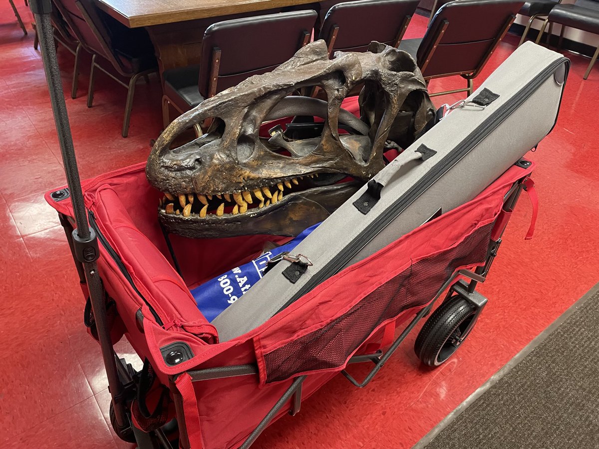 Brian Schubert tweet media