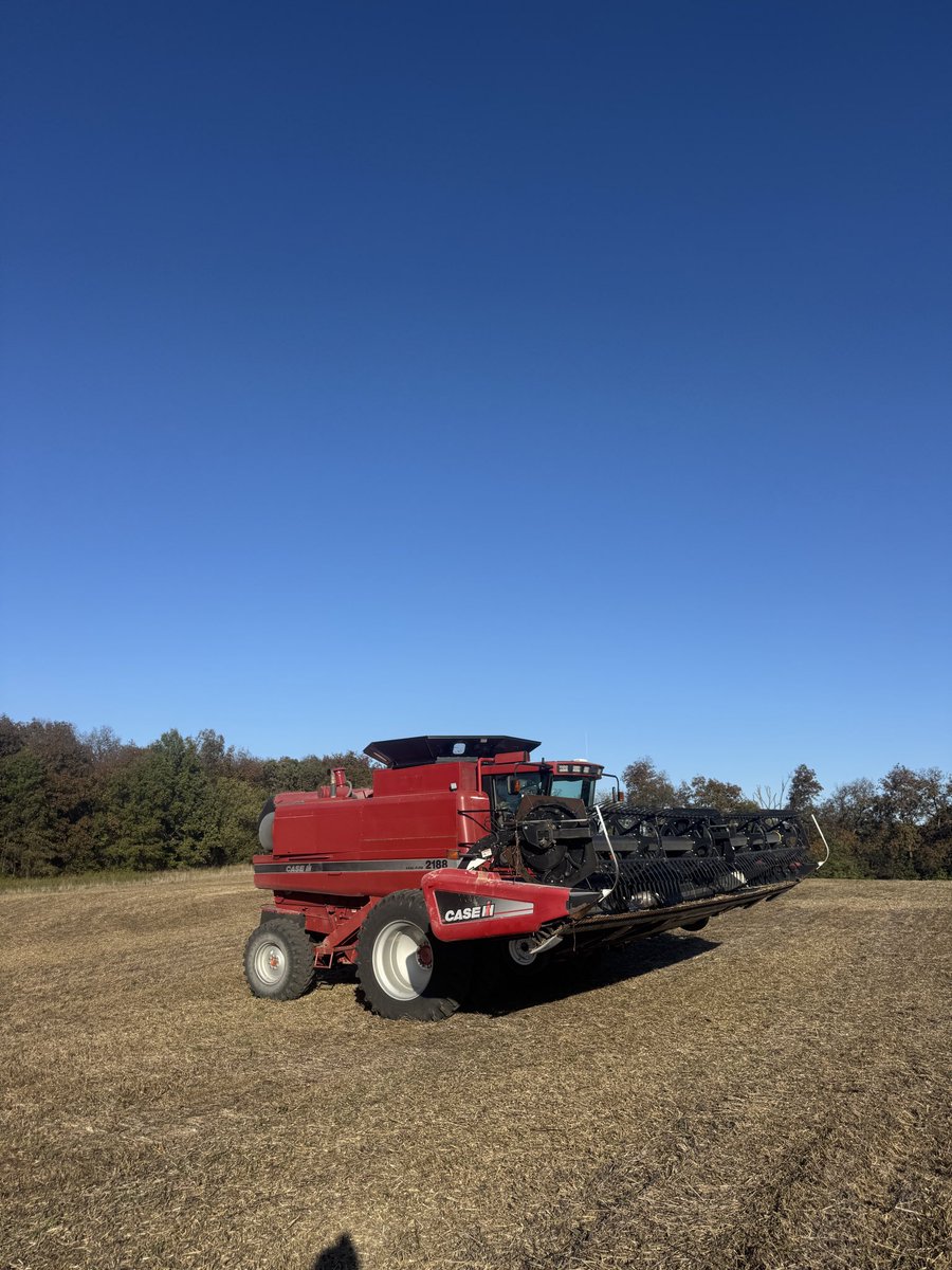 Gavin Spoor tweet media