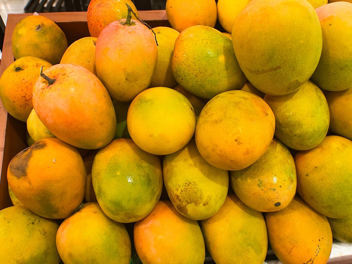 Chevryen's tweet image. Say hello to the most perfectly beautiful things in this world.