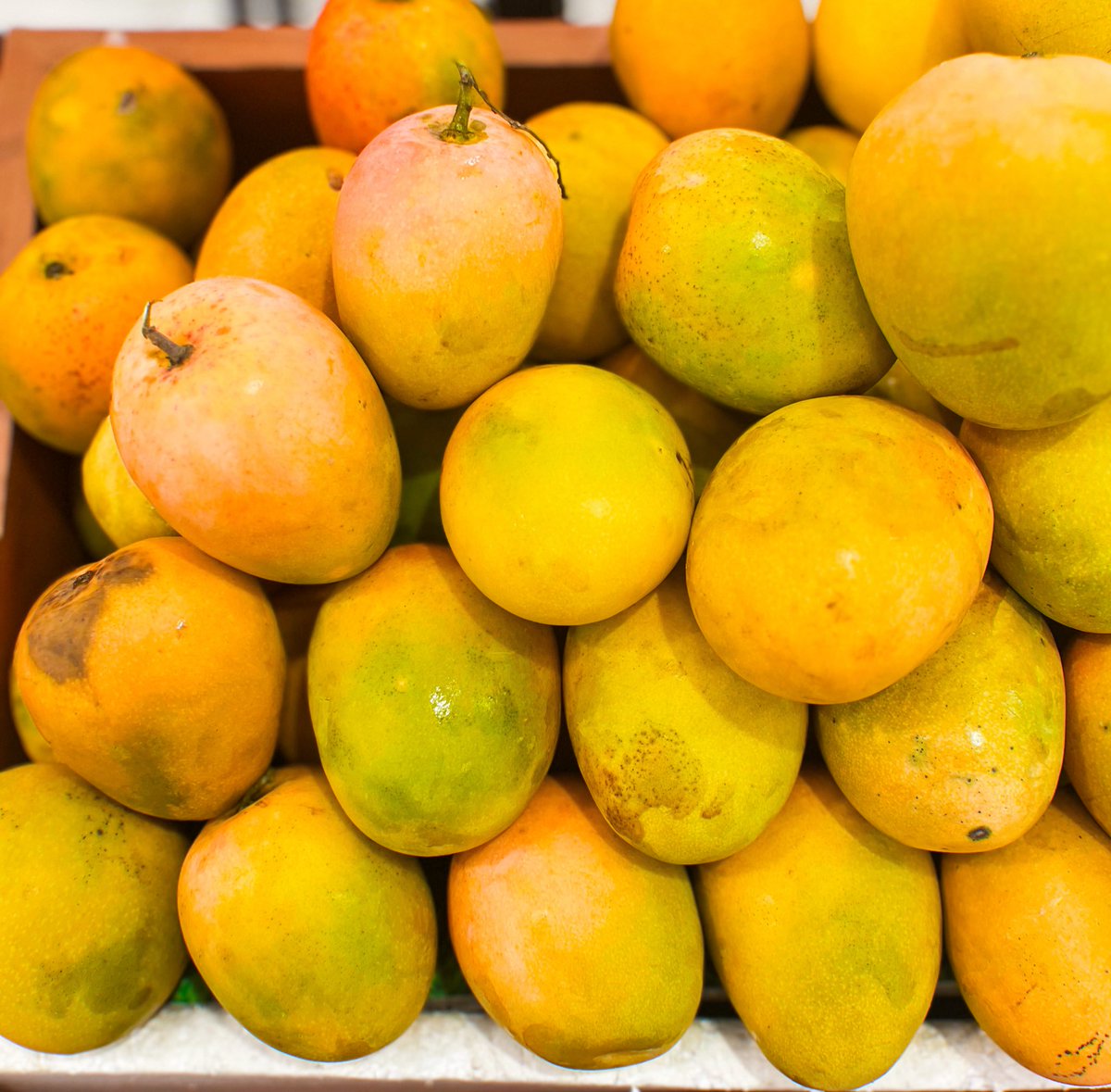 Chevryen's tweet image. Say hello to the most perfectly beautiful things in this world.