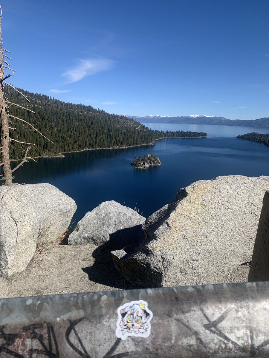 Ren🐾🍃 tweet media