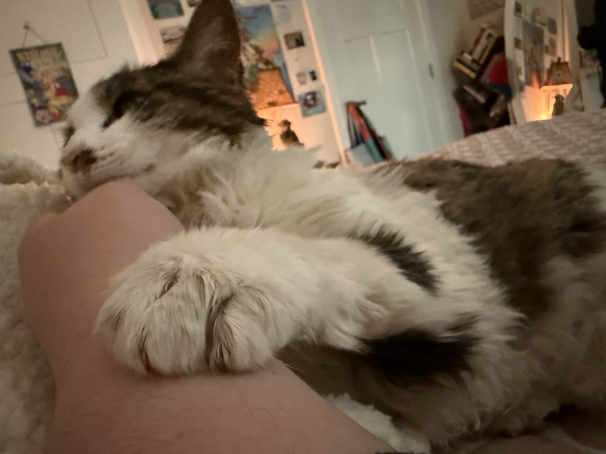 chewberts's tweet image. i cleaned all day and the baby is happy i’m in bed (and that her blanket is clean)