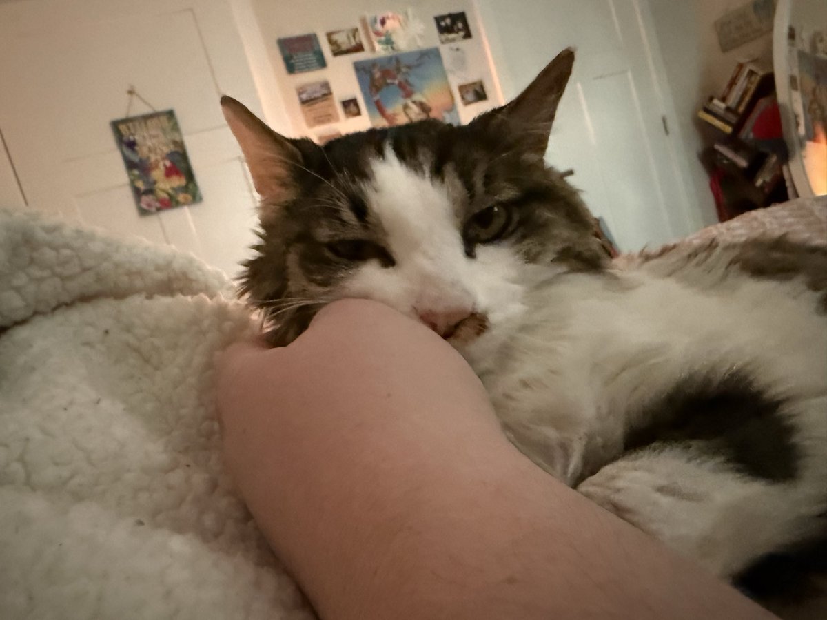 chewberts's tweet image. i cleaned all day and the baby is happy i’m in bed (and that her blanket is clean)