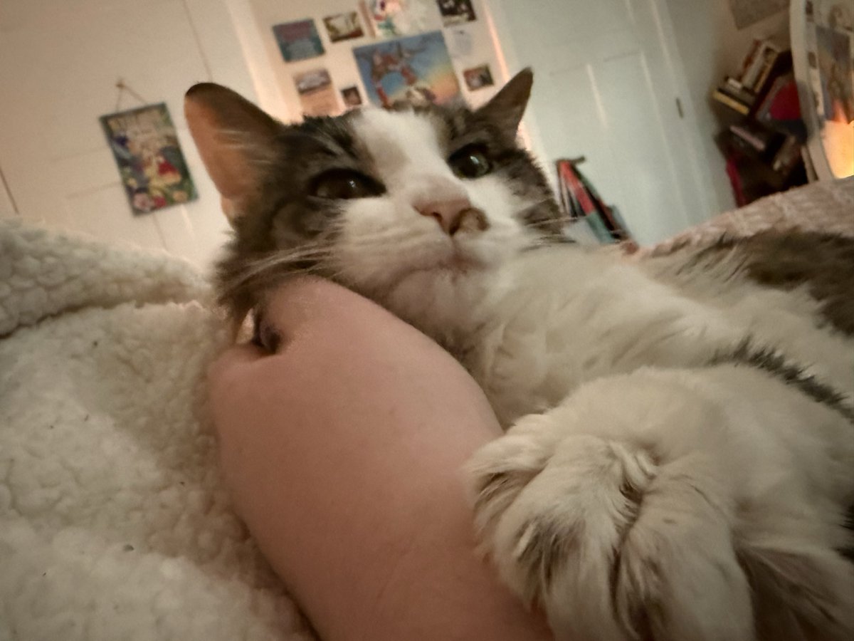 chewberts's tweet image. i cleaned all day and the baby is happy i’m in bed (and that her blanket is clean)