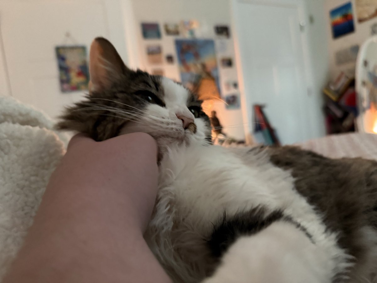 chewberts's tweet image. i cleaned all day and the baby is happy i’m in bed (and that her blanket is clean)