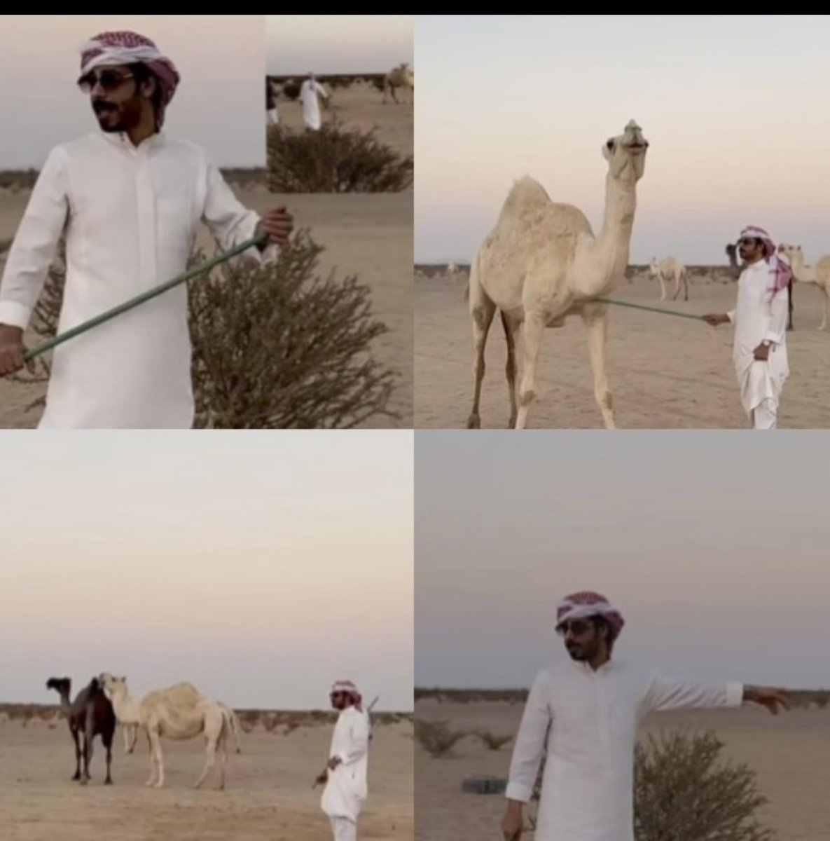 شيخه الغيد🇸🇦 tweet media