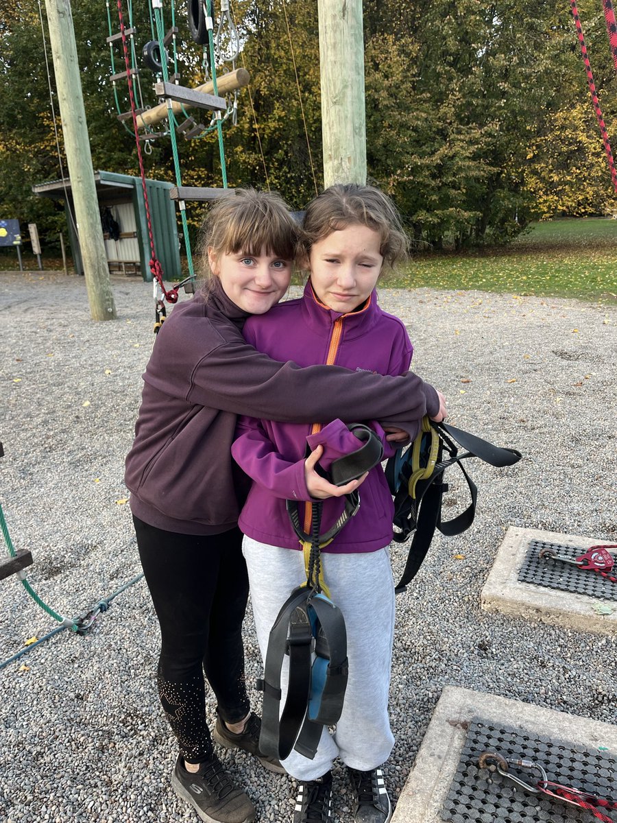 Layton Trips tweet media