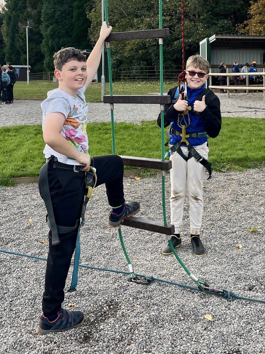 Layton Trips tweet media