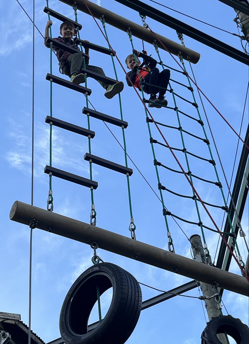 Layton Trips tweet media