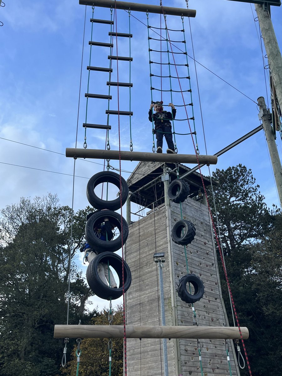 Layton Trips tweet media