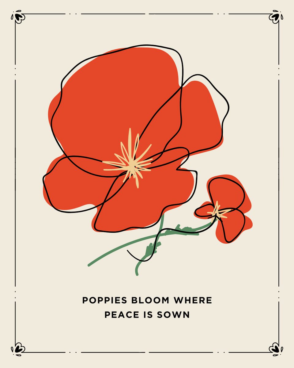 weareequalis's tweet image. The poppy is known for its hardiness &amp;amp; ability to thrive in adverse conditions. Poppies symbolize the human spirit&apos;s determination. Let&apos;s heal this beautiful nation by coming together &amp;amp; creating a more unified future. #HopeInAction #EqualityForAll #InspireUnity #VoicesForChange