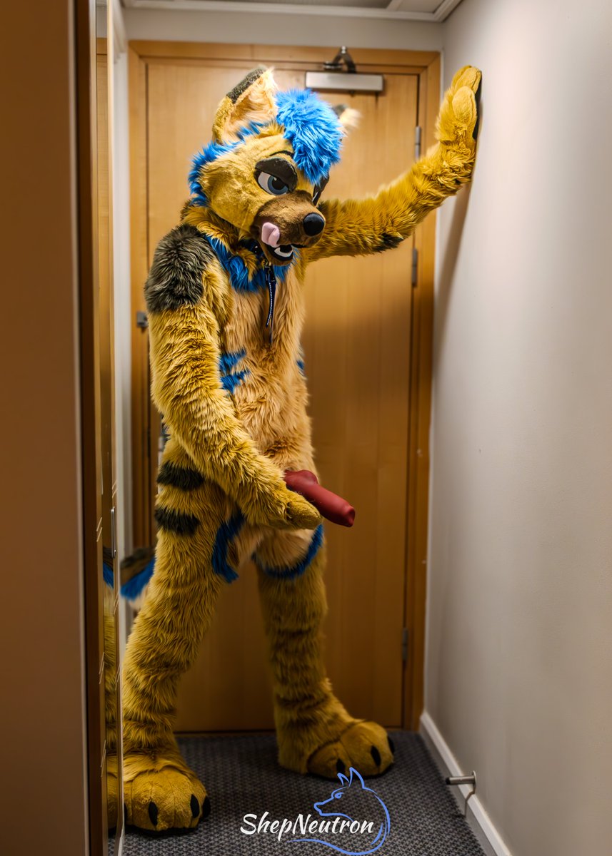 Shep Neutron tweet media